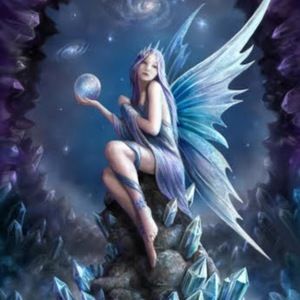 Meet your Posher, Shira